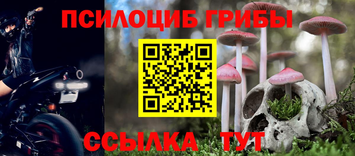 Слободской  Псилоцибиновые грибы MAGIC MUSHROOMS  Вход с VPN  Галлюциногенные грибы мухоморы 