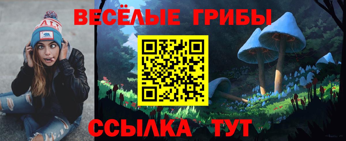 Псилоцибиновые грибы MAGIC MUSHROOMS Слободской
